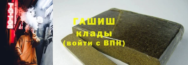 индика Алзамай